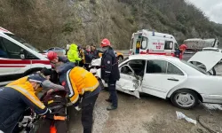 Doktor Irmak trafik kazasında hayatını kaybetti