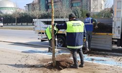 Büyükşehir ‘yeşil’ dokunuşla şehrin çehresini değiştiriyor