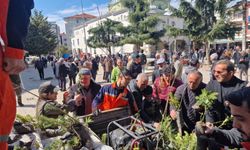 Kocaali’de vatandaşlara ücretsiz meyve fidanı dağıtıldı