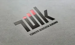 TÜİK mahkemeye çıkacak