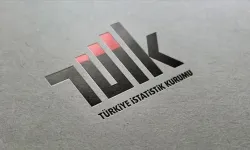 TÜİK en çok kazandıran reel getiriyi açıkladı!