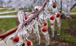 Meteoroloji uyardı: Zirai Don kapıda!