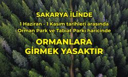 Sakarya'da orman yangınlarına karşı yeni yasaklar geldi!