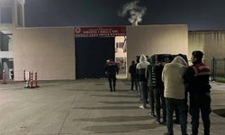 Hayvan hırsızlığı çetesi çökertildi: 7 kişi tutuklandı