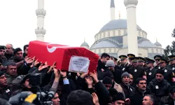 Tuzakçı hain cezasız kaldı: Şehit aileleri isyan etti