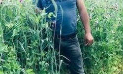 Arazi anlaşmazlığı meselesinde kan aktı: 1 ölü