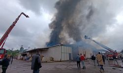 Karasu’da fındık fabrikasında korkutan yangın!