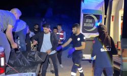 Pancar toplamak istemişti: Canından oldu!