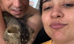 Kayıp kedi bulunmazsa kocası boşayacak