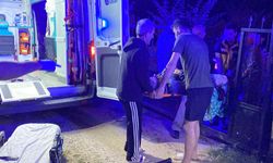 Aile içi kavga: Ablasını ve eniştesini vurdu
