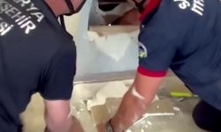 Duvara sıkışan yavru kediyi böyle kurtardılar