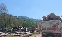 Halatları açarken canından oldu!