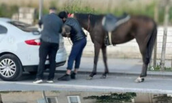 Atla trafiğe çıktılar: Ceza yemekten kaçamadılar!