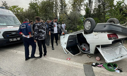 Takla atan otomobil fidanlığa daldı!