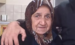 Sakarya’nın 109 yaşındaki asırlık çınarı yaşamını yitirdi