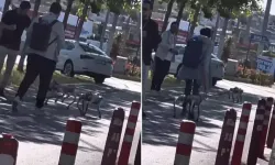 Tasma taktıkları robot köpekleri sokakta gezdirdiler