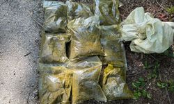 Emniyet geçit vermedi: Kilolarca sentetik kannabinoid ele geçirildi