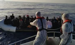 Sakarya'da göçmen kaçakçılarına yönelik operasyon