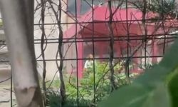İş yerinden parasını alamayan kadın, kendini ve iş yerini yakmakla tehdit etti