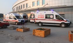 Kayıp kurbanlığı ararken canından oldu!