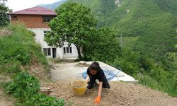 44 yaşındaki oyuncu köyüne döndü: Ölmeye geldim
