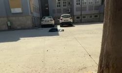 AYT oturumuna TYT belgesiyle geldi: Sınava giremedi!