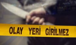 Arkadaşının evinde ölü bulundu!