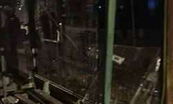 Alkollü sürücü can alıp kaçmıştı: Teslim oldu!