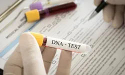 DNA testi gerçeği ortaya çıkardı!