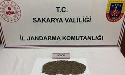 Yasaklı madde operasyonunda 1 şahıs tutuklandı!