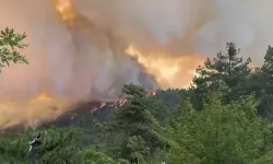 Sakarya'da yangın alarmı!