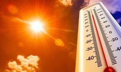 Sakarya'da sıcaklıklar 35 dereceye kadar çıkacak!
