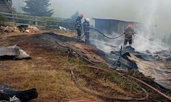 3 yayla evinden geriye külleri kaldı!