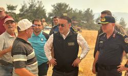 Vali Sözer, yangın bölgesinde inceleme yaptı