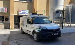Kene kabusu devam ediyor: Ölü sayısı 12'ye yükseldi!