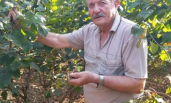 Eski muhtar vefat etti