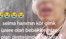 Hendek'te sahte veteriner terörü!