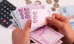 e-Devlet'ten emekli maaşı hesaplama dönemi başladı