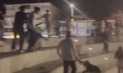 Karasu Sahili'nde dehşet veren olay!