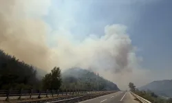 Yeniden Refah Partili Gül hakkında karar!