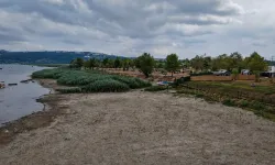 Sapanca Gölü için acil eylem planı devreye sokulacak!