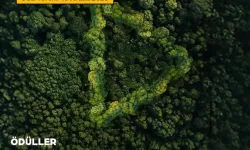 'Yeşil vatanı anlat, ormanı yaşat' yarışması başladı!
