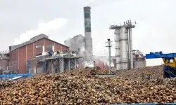Adapazarı Şeker Fabrikası'nda toplu sözleşme krizi