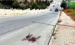 Mezarlık önünde kardeş kavgası kanlı bitti!