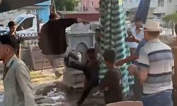 Pazar yerinde 3 kişi bir genci dövdü!