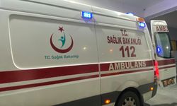 Domuz sanıp ateş etti: Komşusunu tüfekle vurdu!