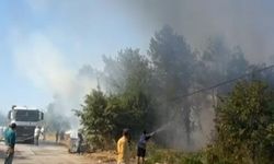 Arifiye'de yangın paniği!