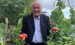 Üç tekerlekli araçlar hayattan kopardı!
