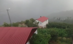 Sakarya'da yaylalar serinledi