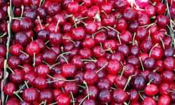 Kiraz o ülkede daha ucuz: Türkiye'de kilosu cep yakıyor!